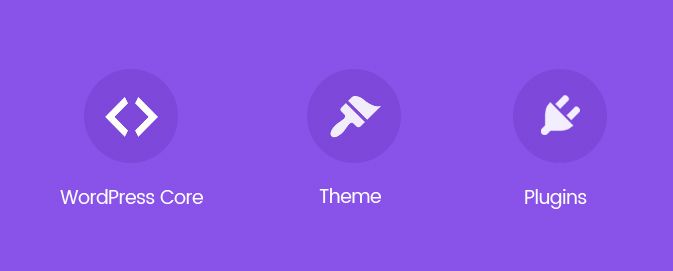 What Is Not a WordPress Theme? Common Myths Busted WordPress Architecture