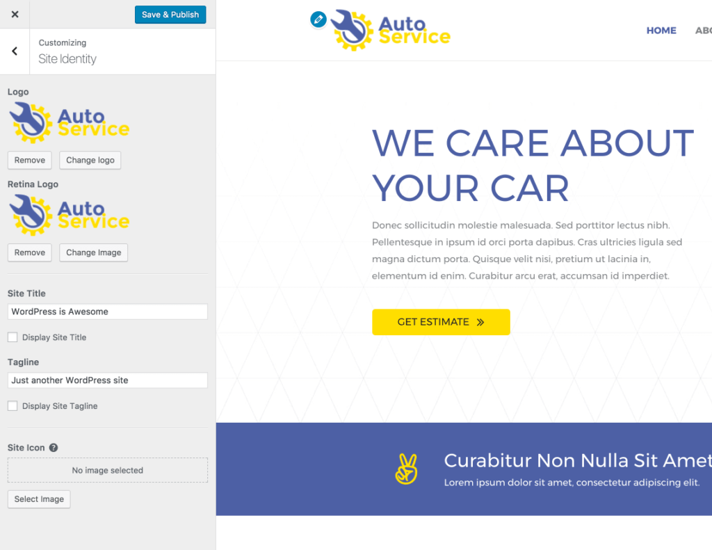 Introducing Retina Logo Astra retina logo settings