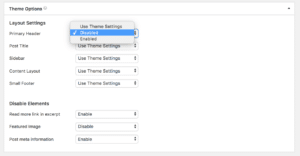 Theme Options Controlled By Toolset 300x156