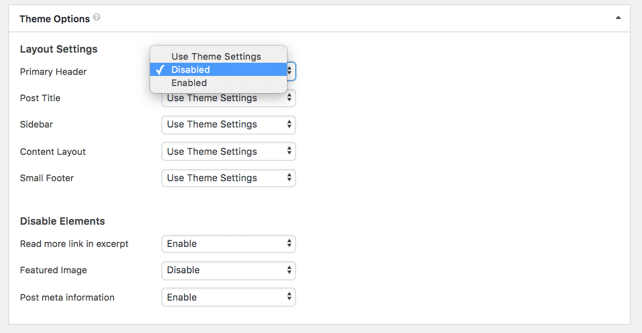 How to Build Advanced Websites Based on Custom Post Types with Toolset and Astra? Theme Options 1