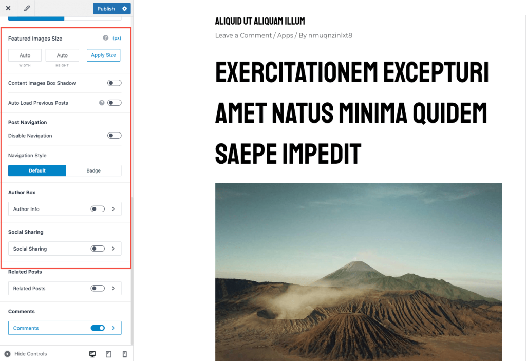 Blog Pro Overview Astra Features