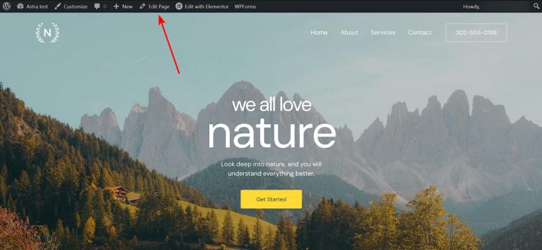 280+ Elementor Templates for Every Niche (Free + Premium) Edit WordPress Edit page