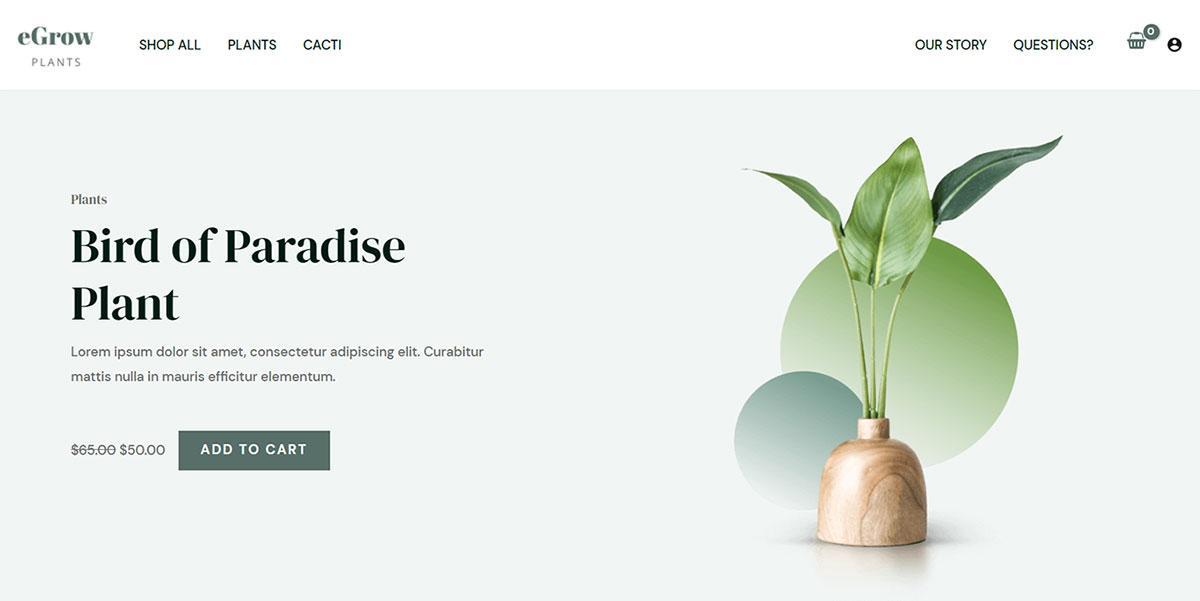280+ Elementor Templates for Every Niche (Free + Premium) Simple eCommerce template