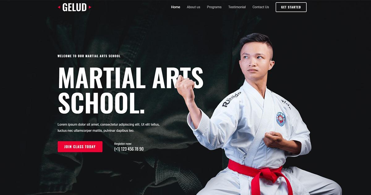280+ Elementor Templates for Every Niche (Free + Premium) Website template for the school