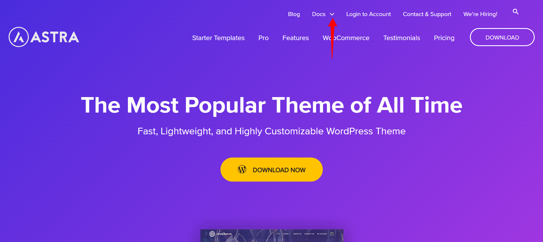 About Icons Font That Comes with Astra Word Image 25988 1