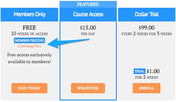 LifterLMS vs LearnDash vs LearnPress: 3 Best WordPress LMS Plugins Compared! lifterlms access plans