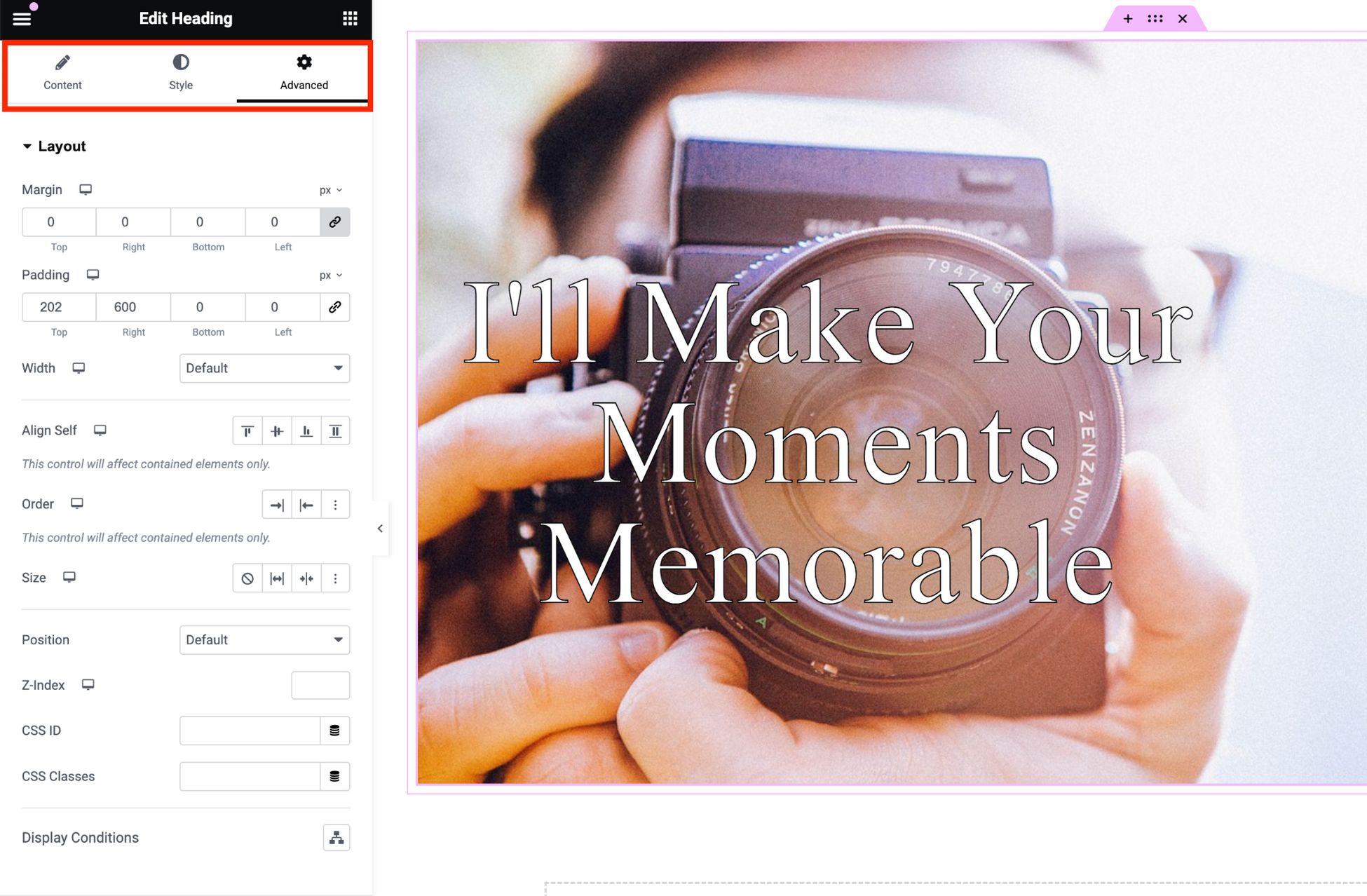 Divi vs Elementor: Which One is King of the Page Builders? elementor advanced style