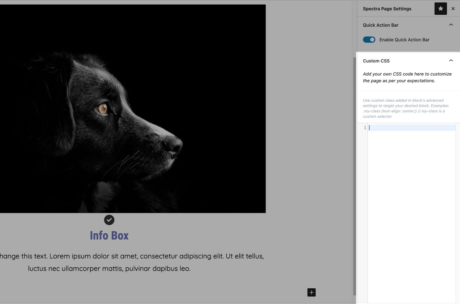 Divi vs Elementor: Which One is King of the Page Builders? spectra custom css