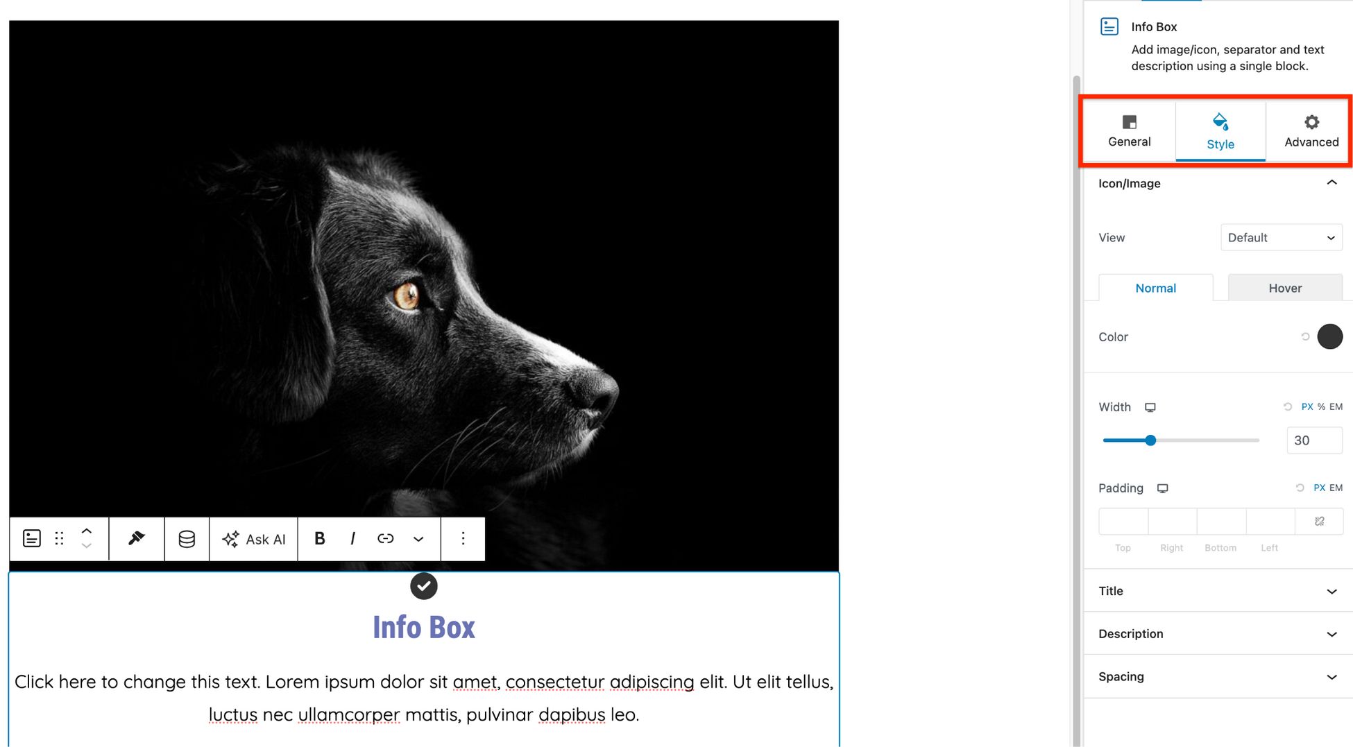 Divi vs Elementor: Which One is King of the Page Builders? spectra setting area