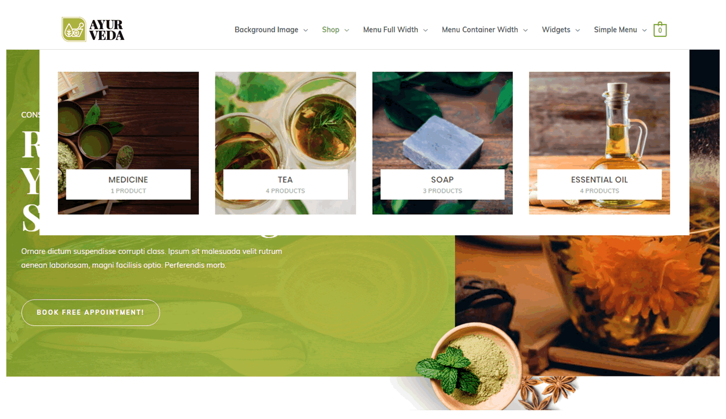 Introducing Mega Menu within the Nav Menu Addon! Astra Mega Menu page builder template