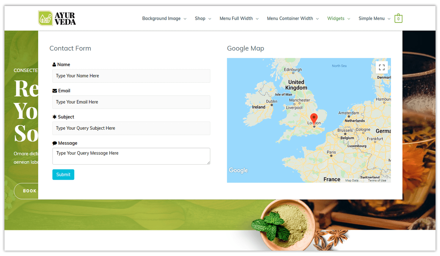 Introducing Mega Menu within the Nav Menu Addon! Mega menu with widgets area
