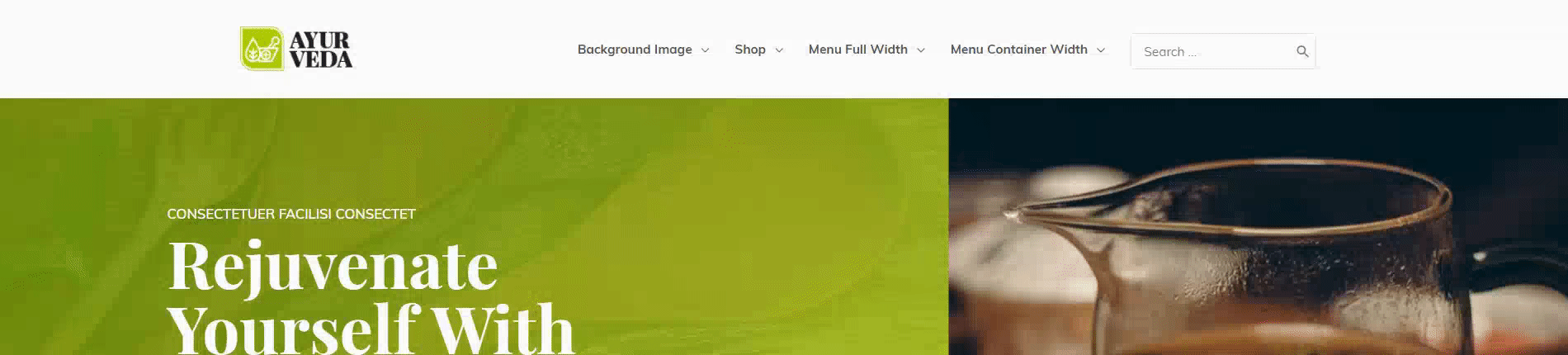 Display Submenu Just Below the Header Astra Header Options