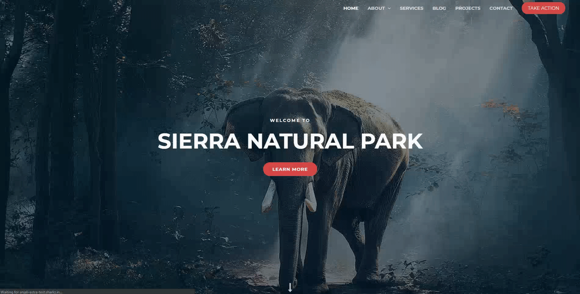 How to Change the Direction for Submenu Opening? Astra Demo Submenu Opening