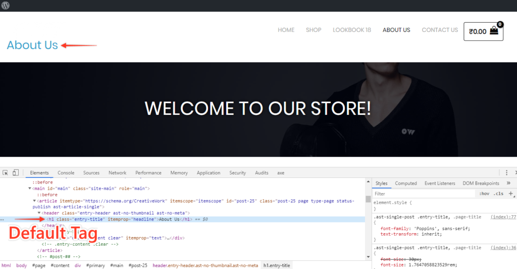 How to Change the Heading Tag for the Page/Post Titles? Astra Page Post Title on Frontend