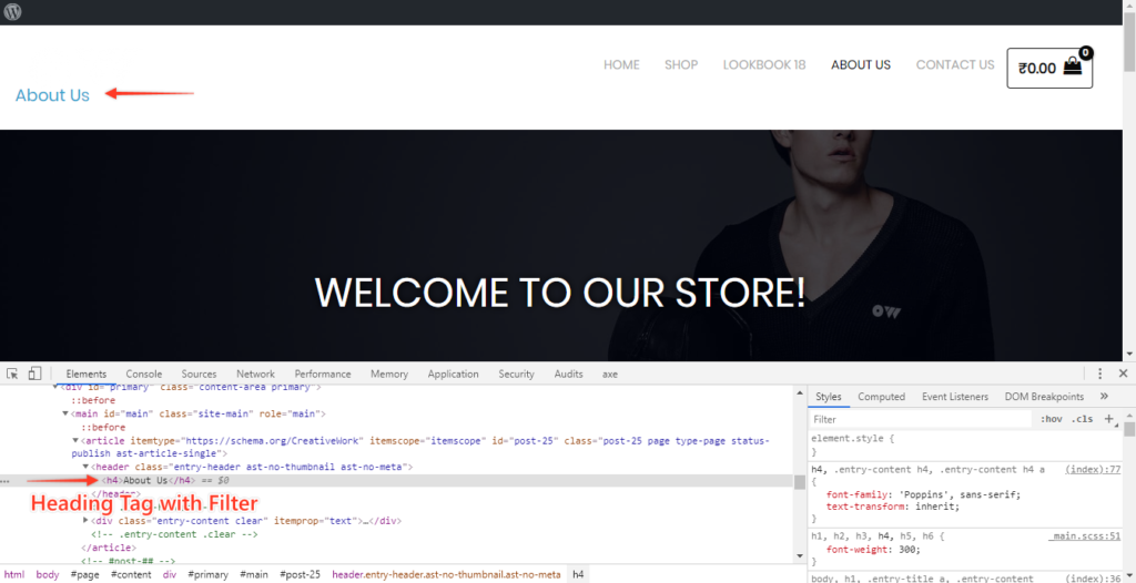 How to Change the Heading Tag for the Page/Post Titles? Astra 2 Page Post Title with Filter
