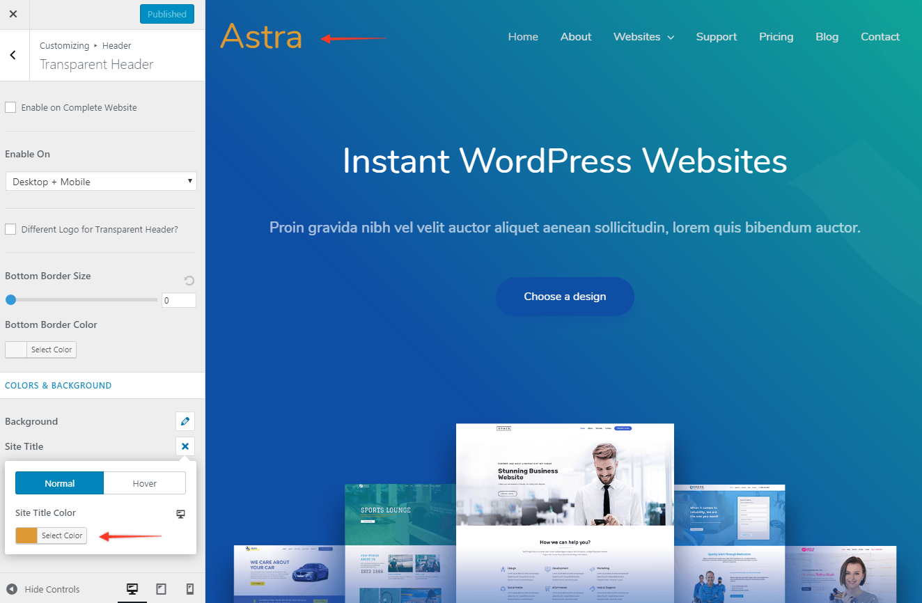 Colors & Background Options for Transparent Header (Old Astra Header) Astra Transparent Header Site Title Color