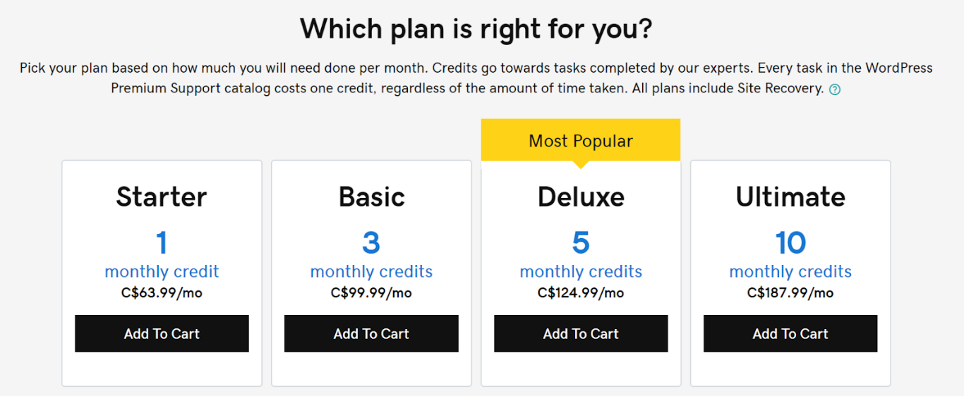 How To Make Recurring Income From Web Design (8 Effective Methods) Recurring Revenue GoDaddy Premium Support