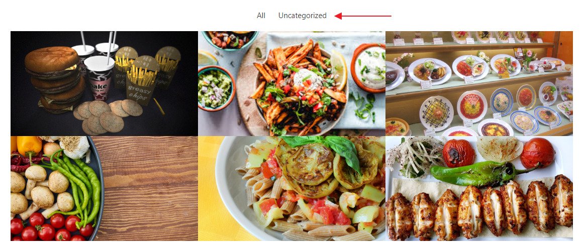 How To Create a Portfolio With Elementor - Step by Step Guide Elementor portfolio filter bar