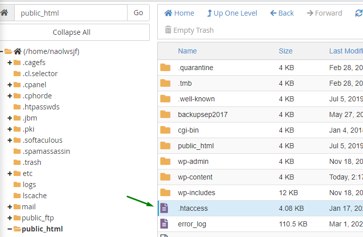 How To Add Expires Headers to WordPress: Manual + Plugin Methods Arrow showing the htaccess file on the File Manager