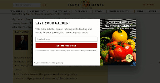 Tripwire Funnels: Complete Guide With 9 Powerful Examples Lead Magnet example