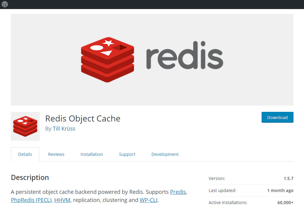 WordPress Object Cache: What Is It and What Do You Need To Know Redis WordPress Page