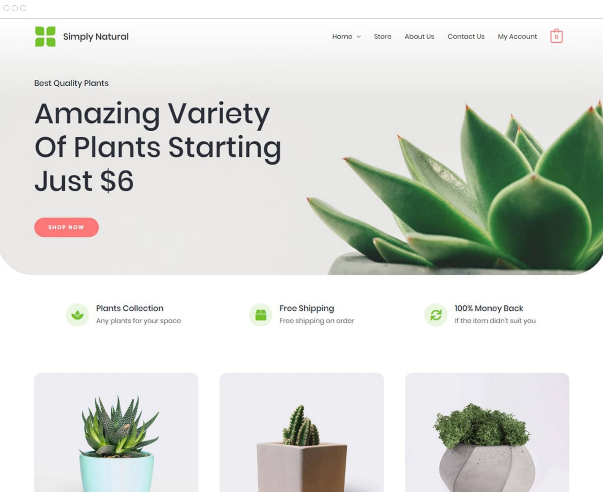 The Ultimate Shopify vs WooCommerce Showdown: Which Should You Choose? Starter template - plant store