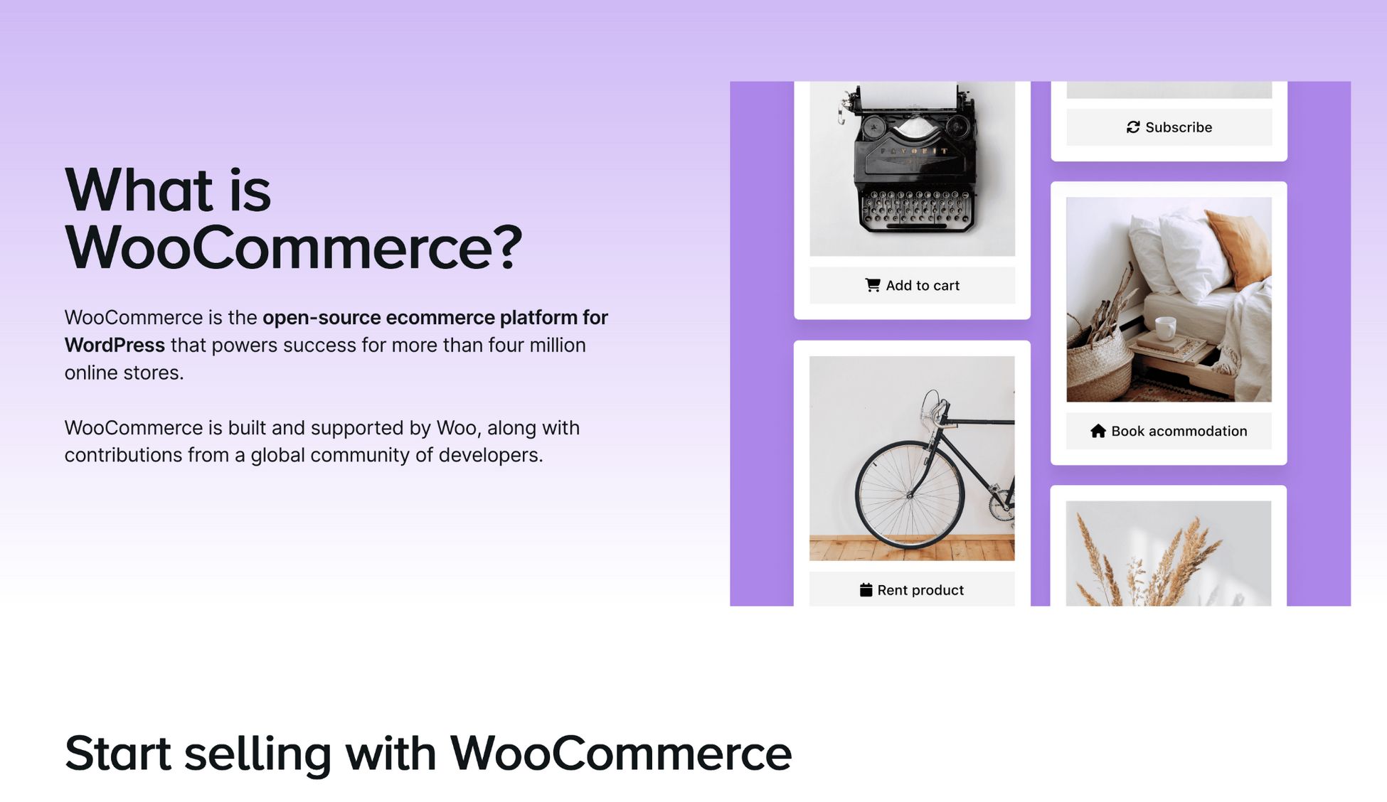 The Ultimate Shopify vs WooCommerce Showdown: Which Should You Choose? What is WooCommerce?