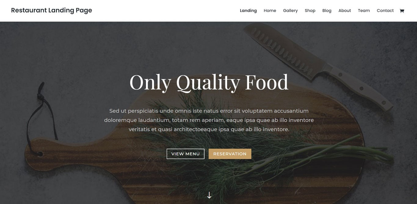 31 Best WordPress Themes for Affiliate Marketing (Free and Paid Options) Divi theme demo