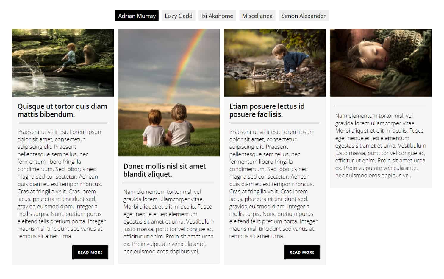 15 Best WordPress Photo Gallery Plugins (Free and Premium) Flagallery plugin demo