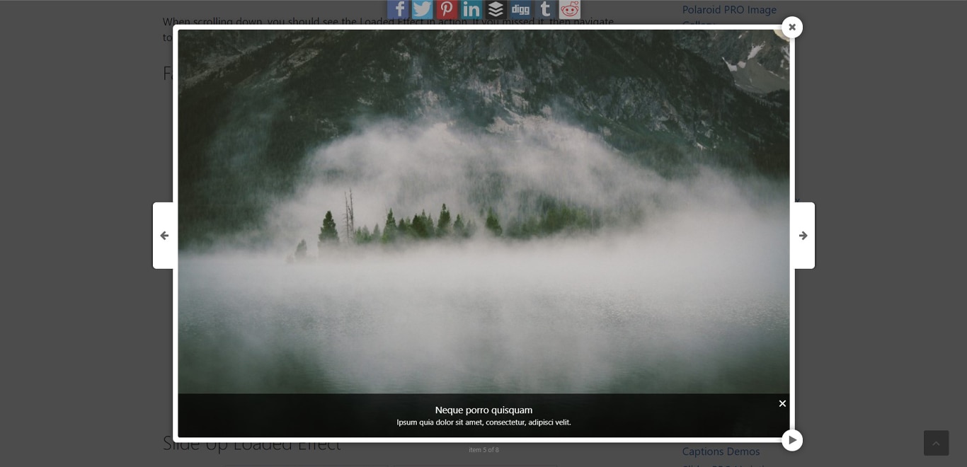 15 Best WordPress Photo Gallery Plugins (Free and Premium) Foogallery plugin demo