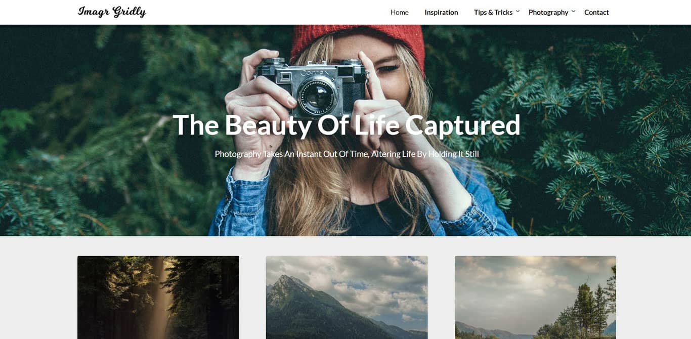 31 Best WordPress Themes for Affiliate Marketing (Free and Paid Options) Imagegridly theme demo