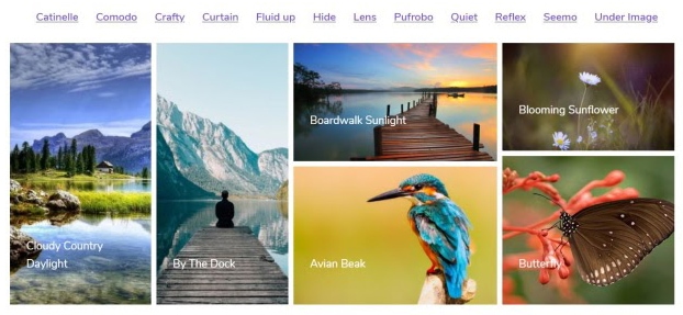 15 Best WordPress Photo Gallery Plugins (Free and Premium) Modula plugin demo