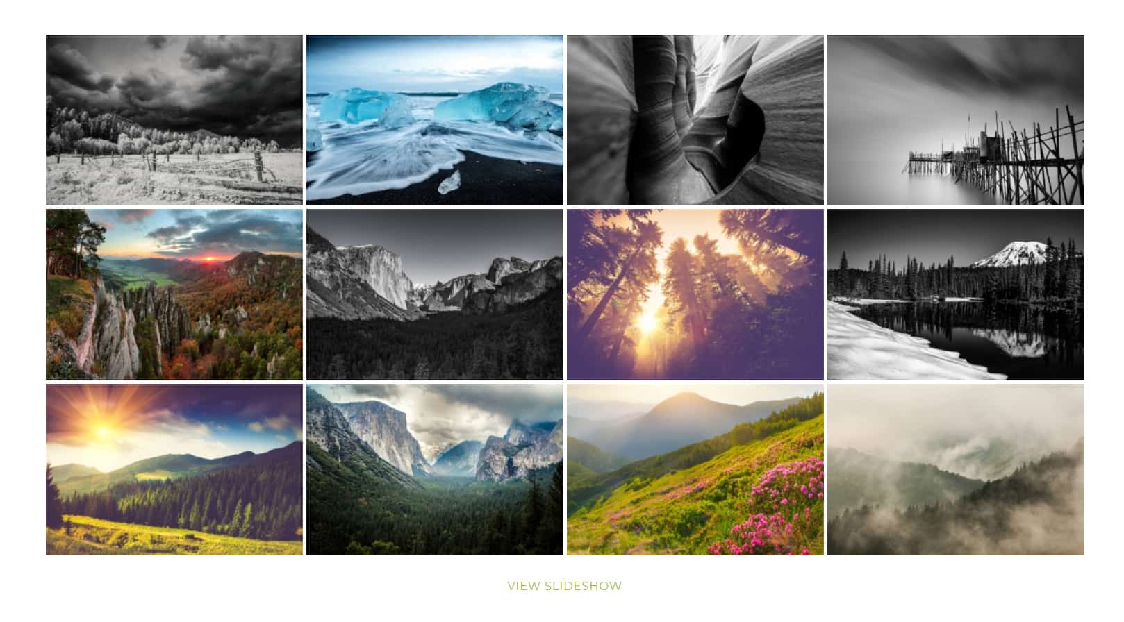 15 Best WordPress Photo Gallery Plugins (Free and Premium) Nextgen plugin demo