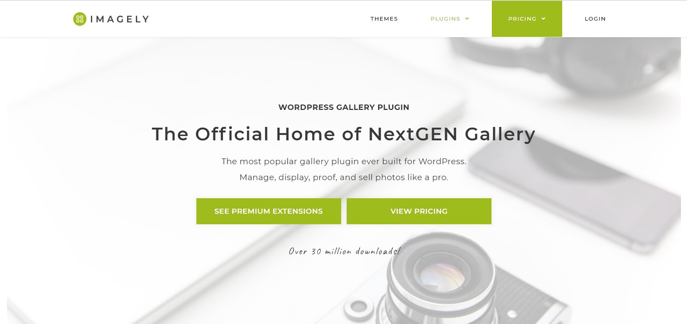 15 Best WordPress Photo Gallery Plugins (Free and Premium) Nextgen plugin site image