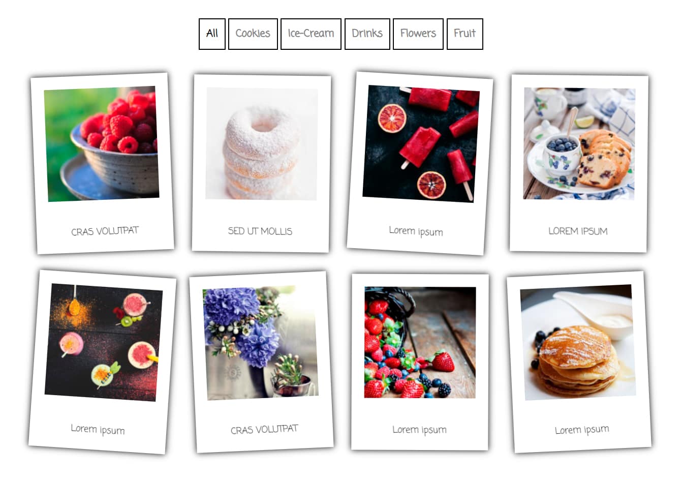 15 Best WordPress Photo Gallery Plugins (Free and Premium) Supsystic plugin demo