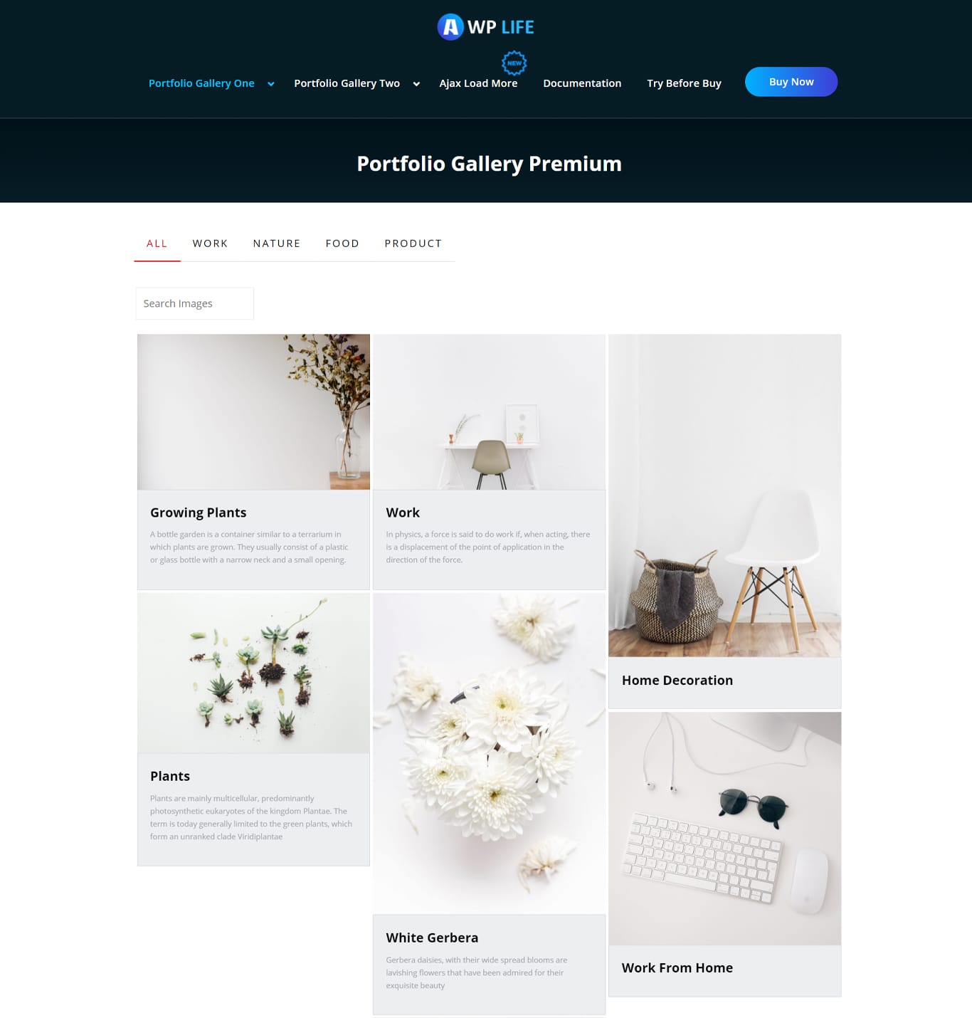 15 Best WordPress Photo Gallery Plugins (Free and Premium) Portfolio gallery plugin demo
