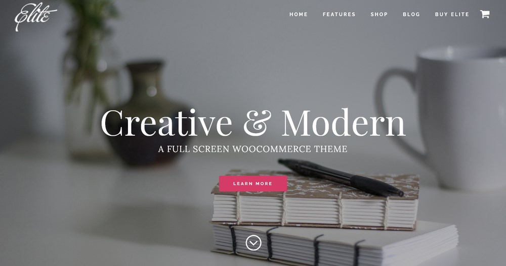 28 Best Law Firm WordPress Themes – Free and Premium Options Reviewed Elite demo site