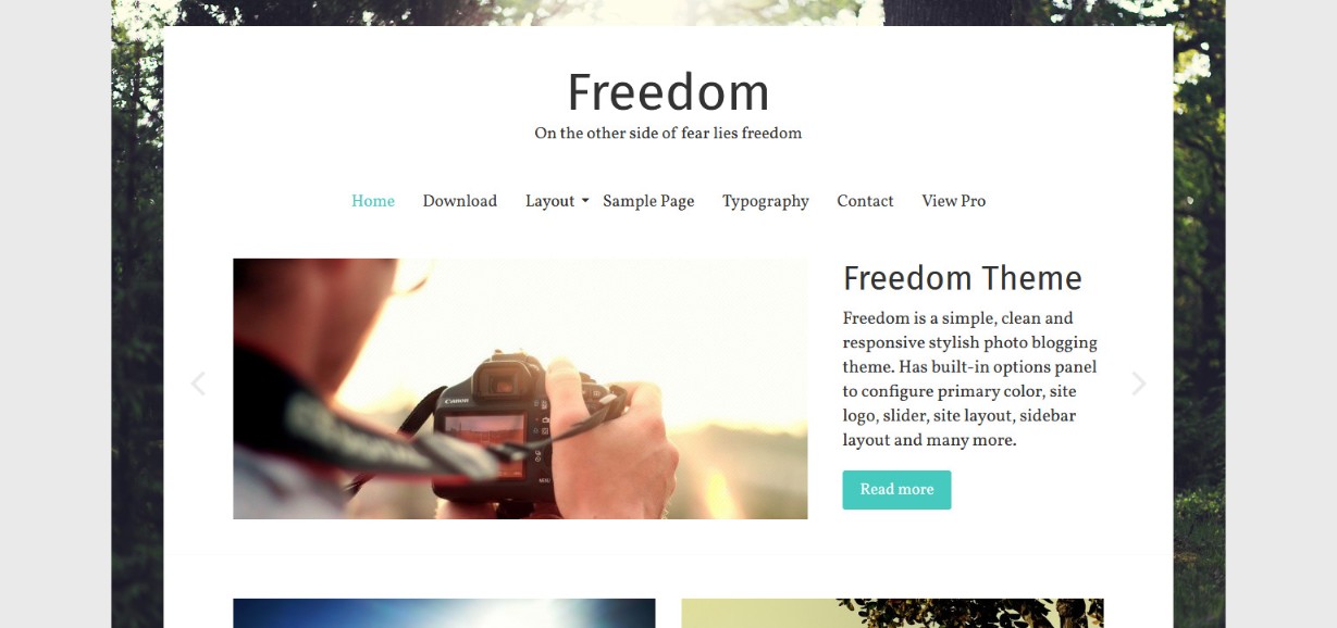 Do More With Less – 48 Best Simple WordPress Themes Revealed! Freedom demo site