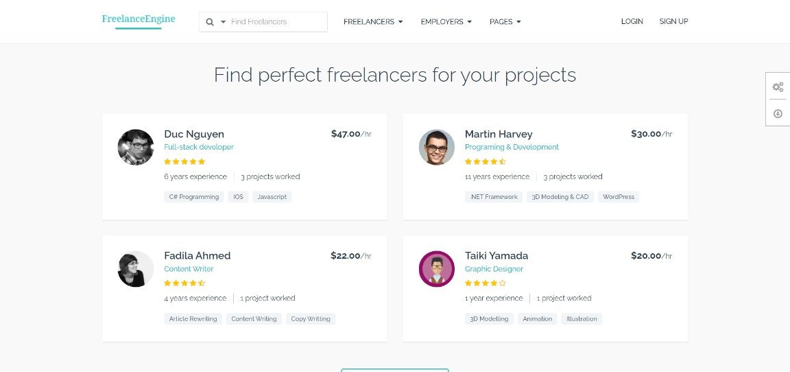 14 Best WordPress Job Board Plugins Compared (Free and Premium) FreelanceEngine demo site