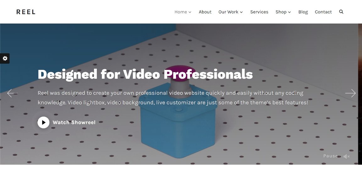 30 Best WordPress Educational Themes for Schools and Learning Websites Reel wordpress theme