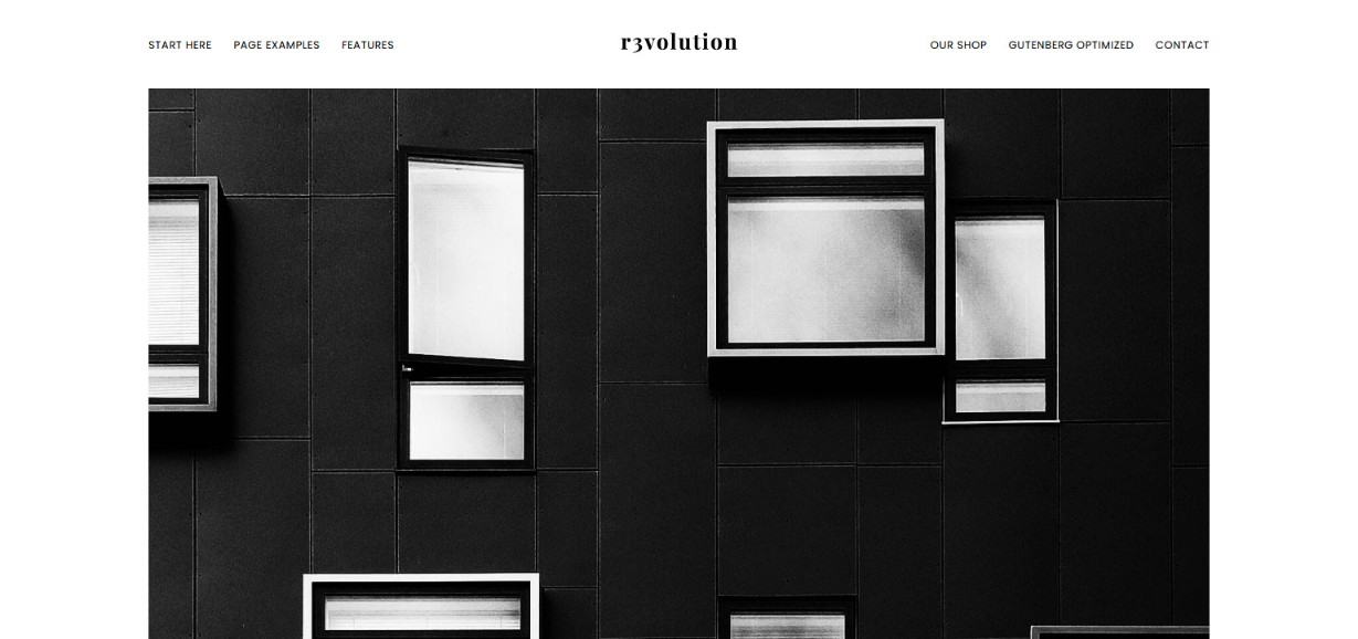 Do More With Less – 48 Best Simple WordPress Themes Revealed! Revolution Pro theme demo