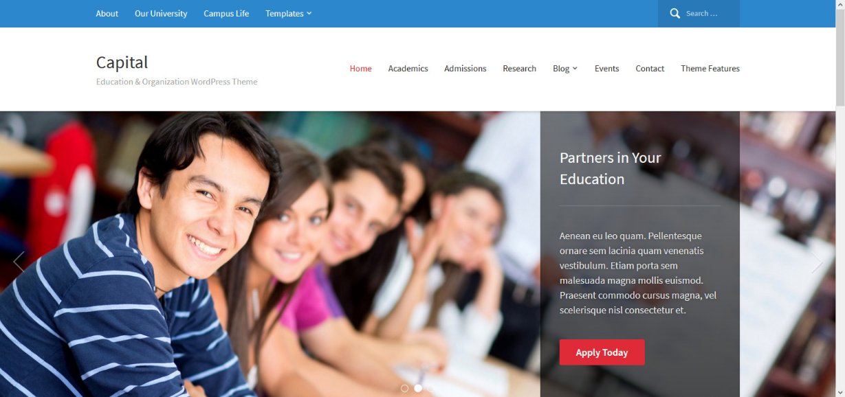 28 Best Law Firm WordPress Themes – Free and Premium Options Reviewed WPZOOM Capital Wordpress Demos