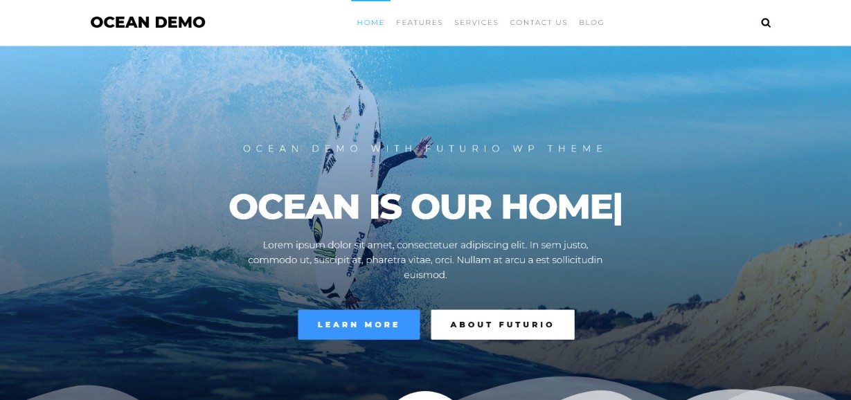Do More With Less – 48 Best Simple WordPress Themes Revealed! fututio theme demo