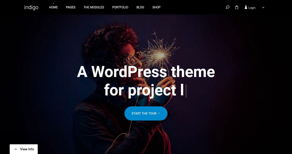 31 Best WordPress Themes for Affiliate Marketing (Free and Paid Options) indigo WordPress demo site