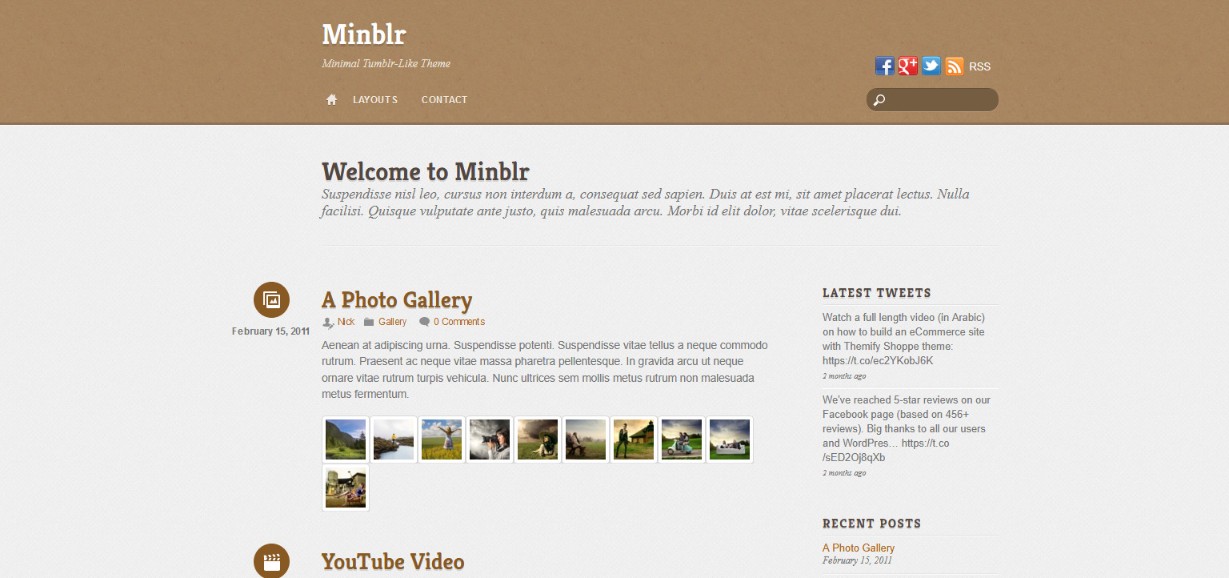 Do More With Less – 48 Best Simple WordPress Themes Revealed! themify Minblr Demo