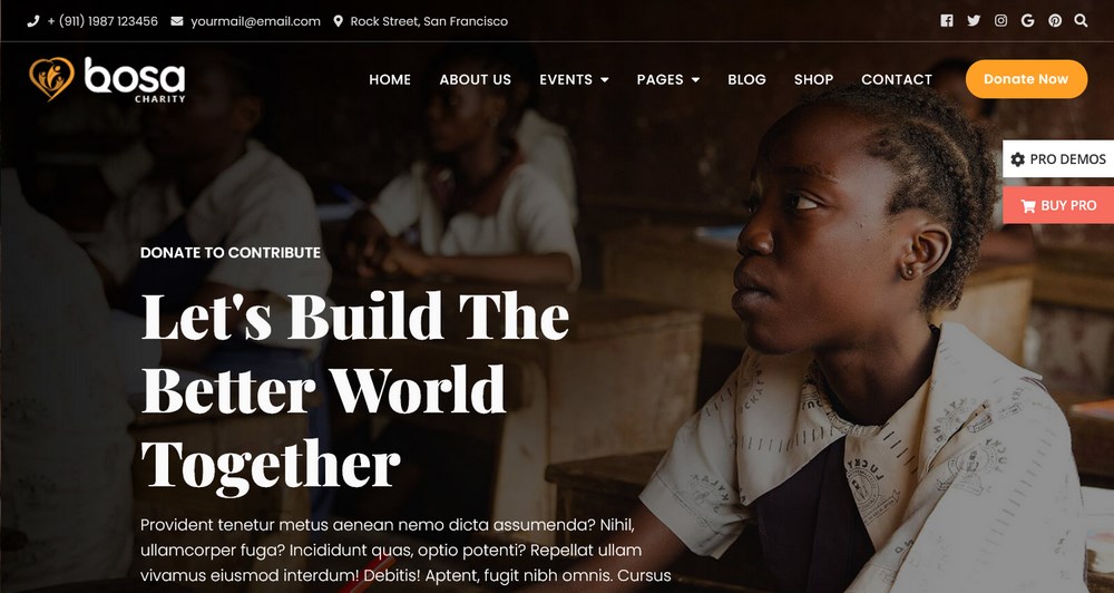 24 Best WordPress Themes for Nonprofits and Charities Bosa Charity theme