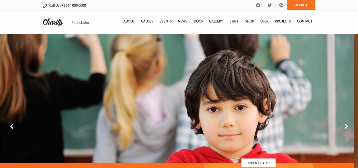 24 Best WordPress Themes for Nonprofits and Charities Charity demo site