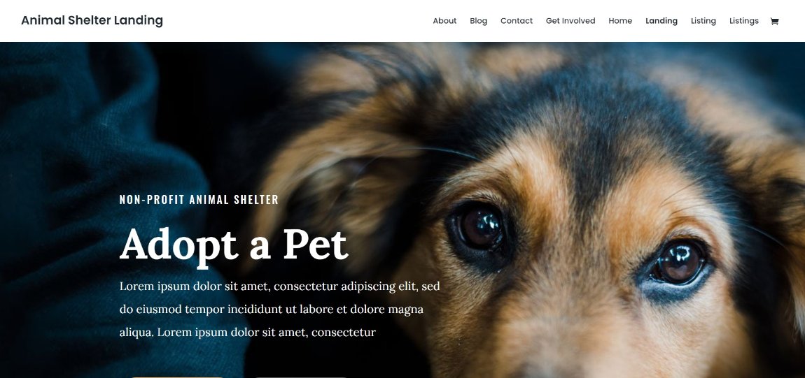24 Best WordPress Themes for Nonprofits and Charities Divi Animal Shelter Landing demo template