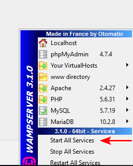 How To Install WordPress Locally Using WampServer Start WAMP Services