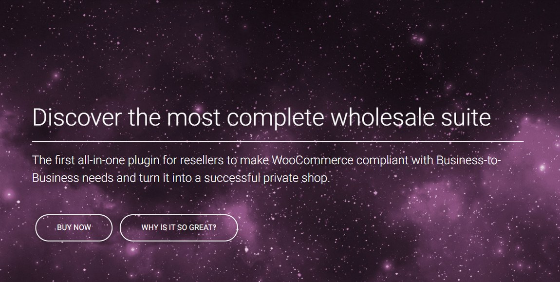 WooCommerce Wholesale Store: How To Setup + Recommended Plugins WooCommerce B2B by Code4Life